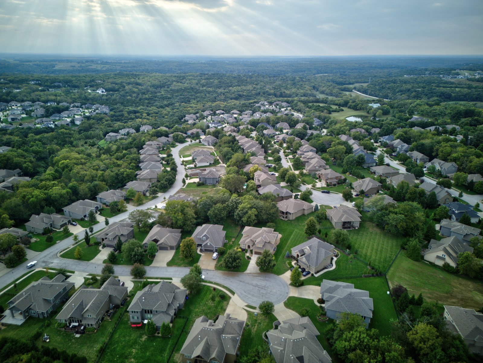 Forest View community image 4